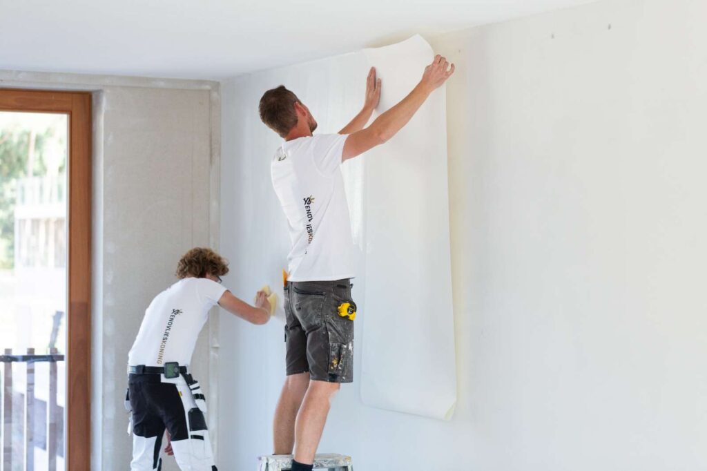 renovlies vs stucen renovlieskoning-01